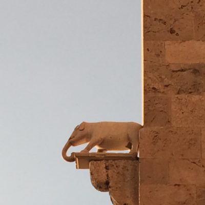 L'elefantino[The elephant]