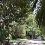 ORTO BOTANICO